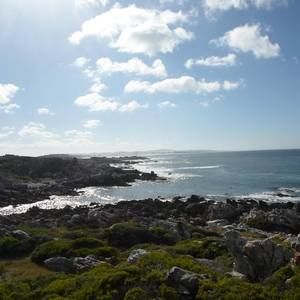 Meet your Posher, Marise